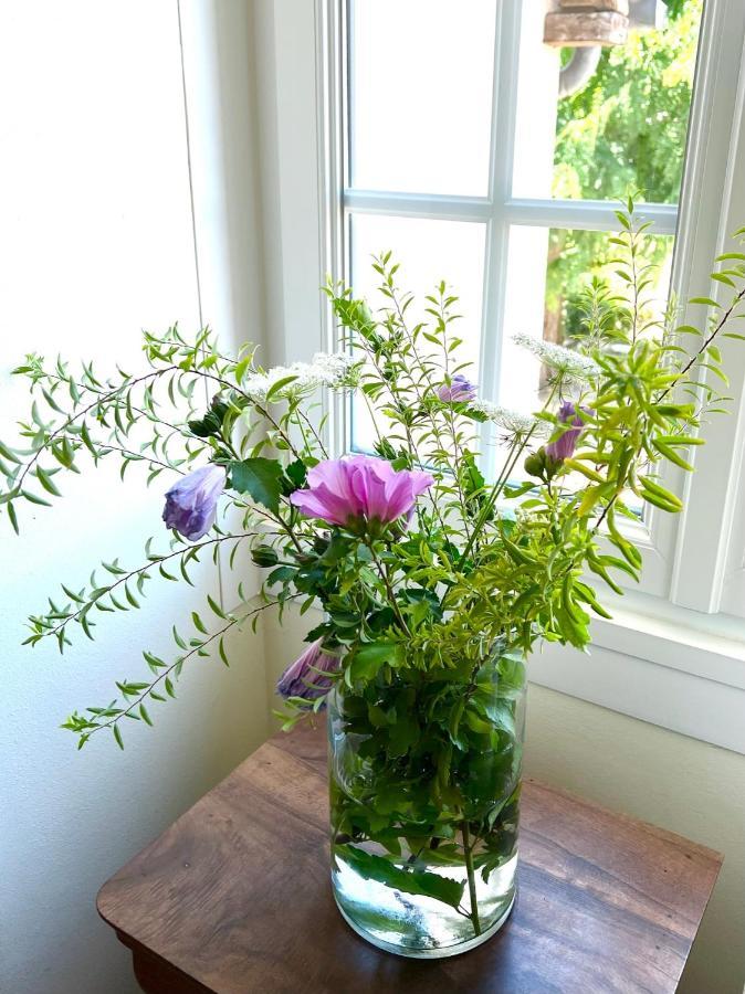 Du Lion D'or Bed & Breakfast Lanzac